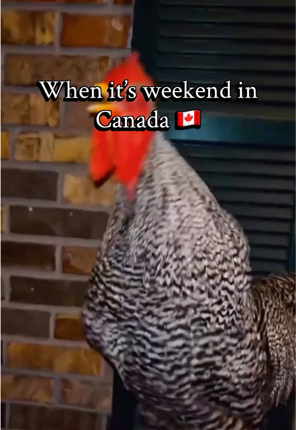 @🇮🇳Pahari Canadian 🇨🇦