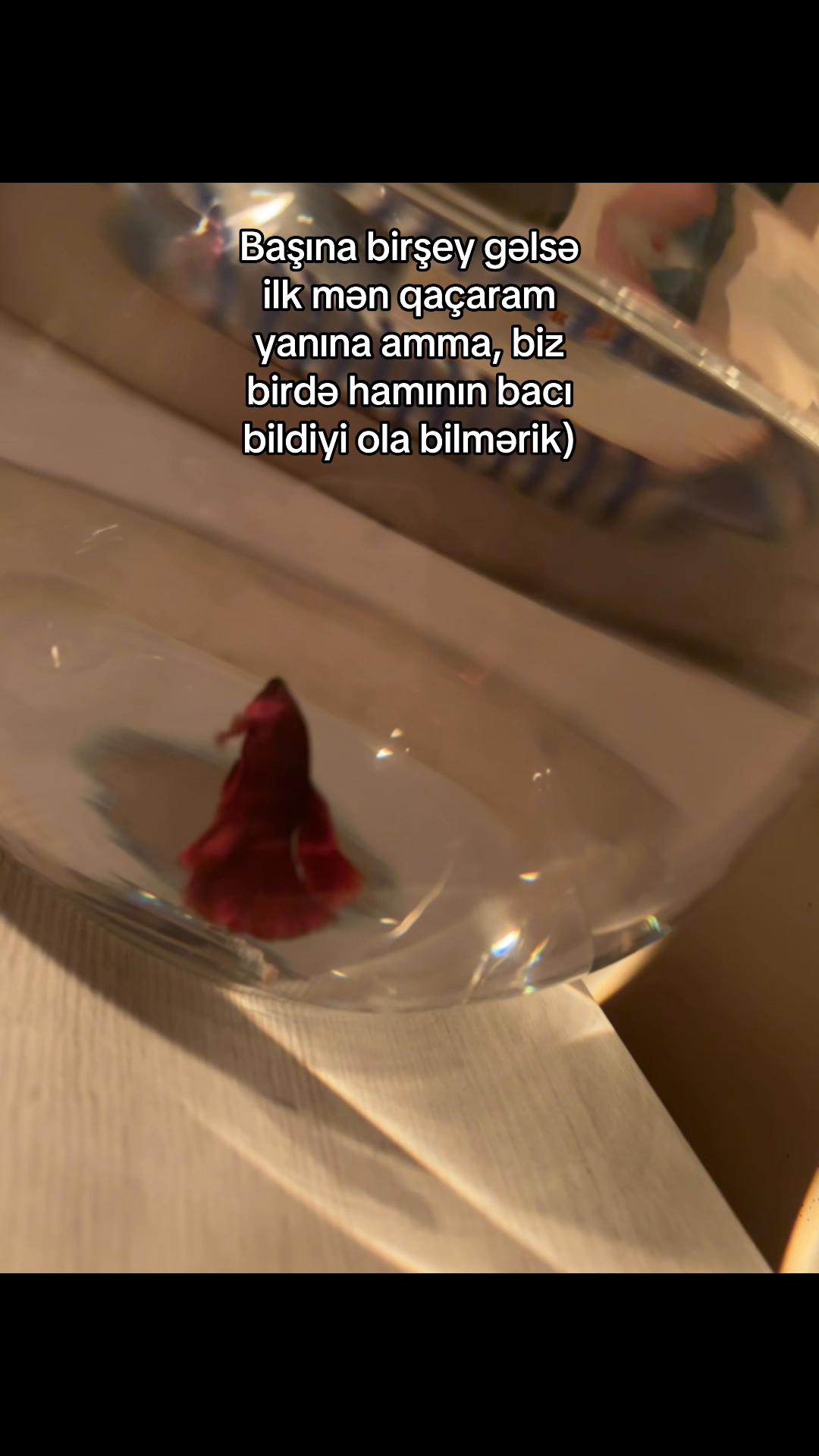 @Fatyaa🩵