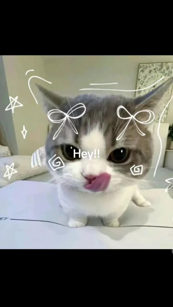 @Sindy123!
