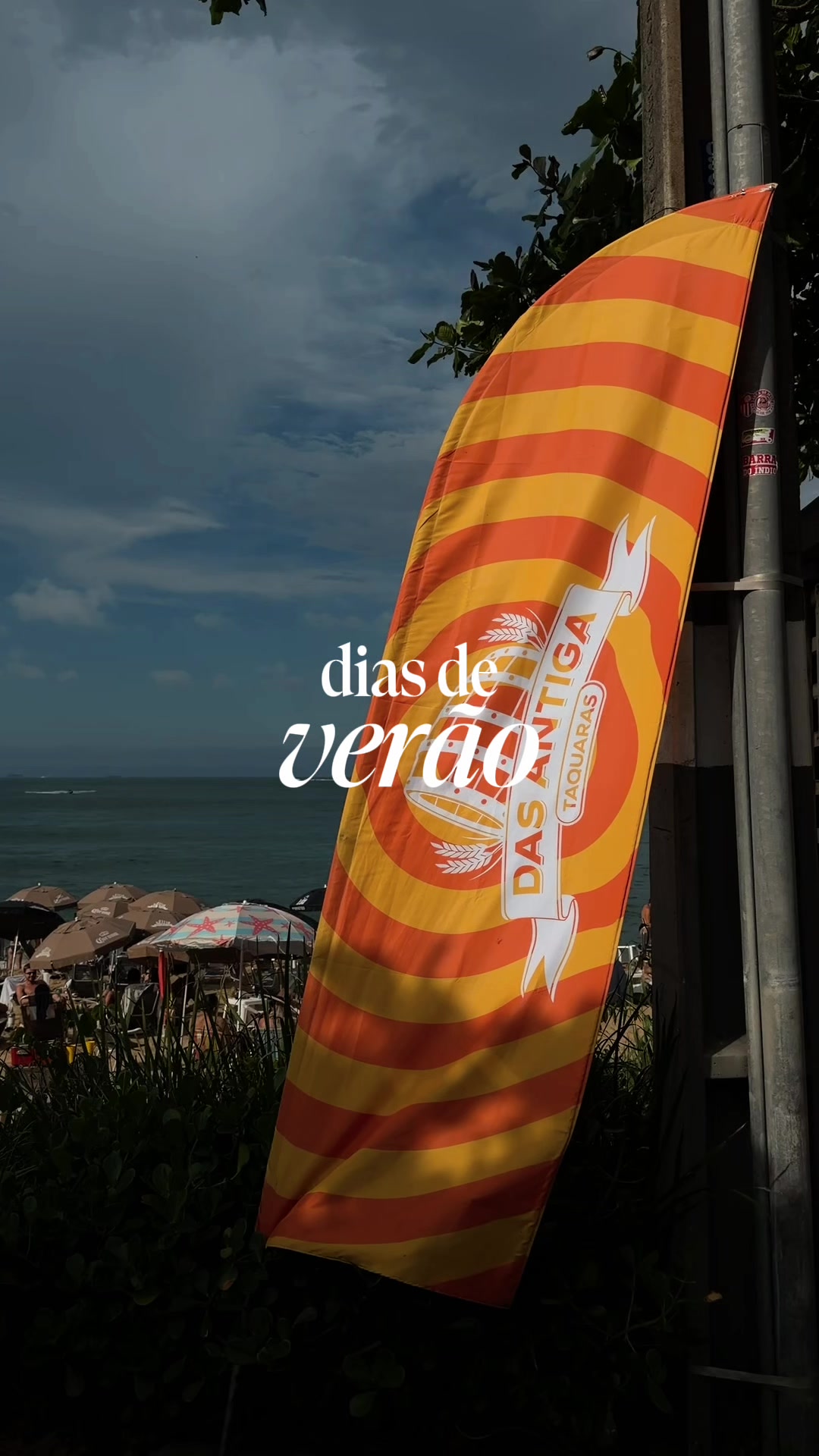 @Darlyane Carvalho