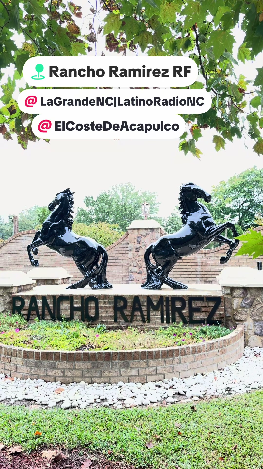 @La Pocha Herrera