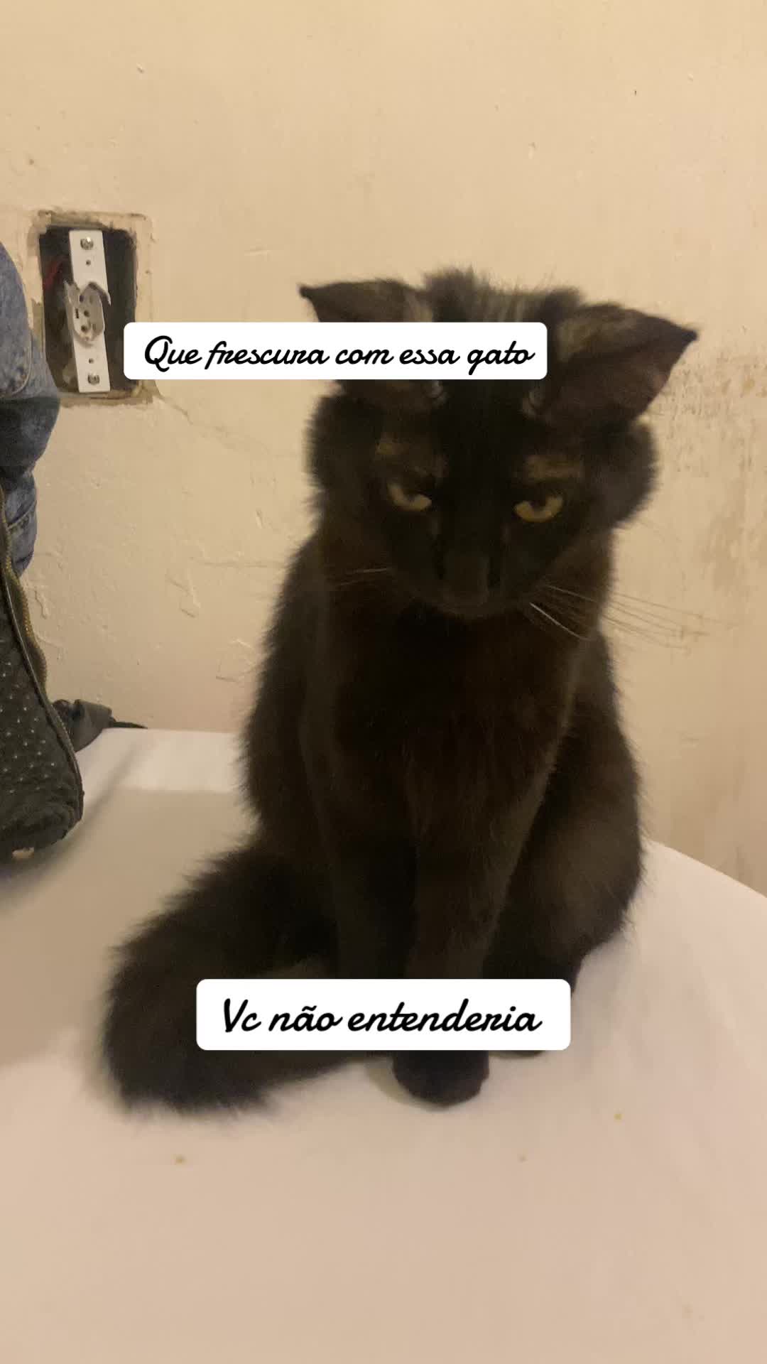 @pekinha