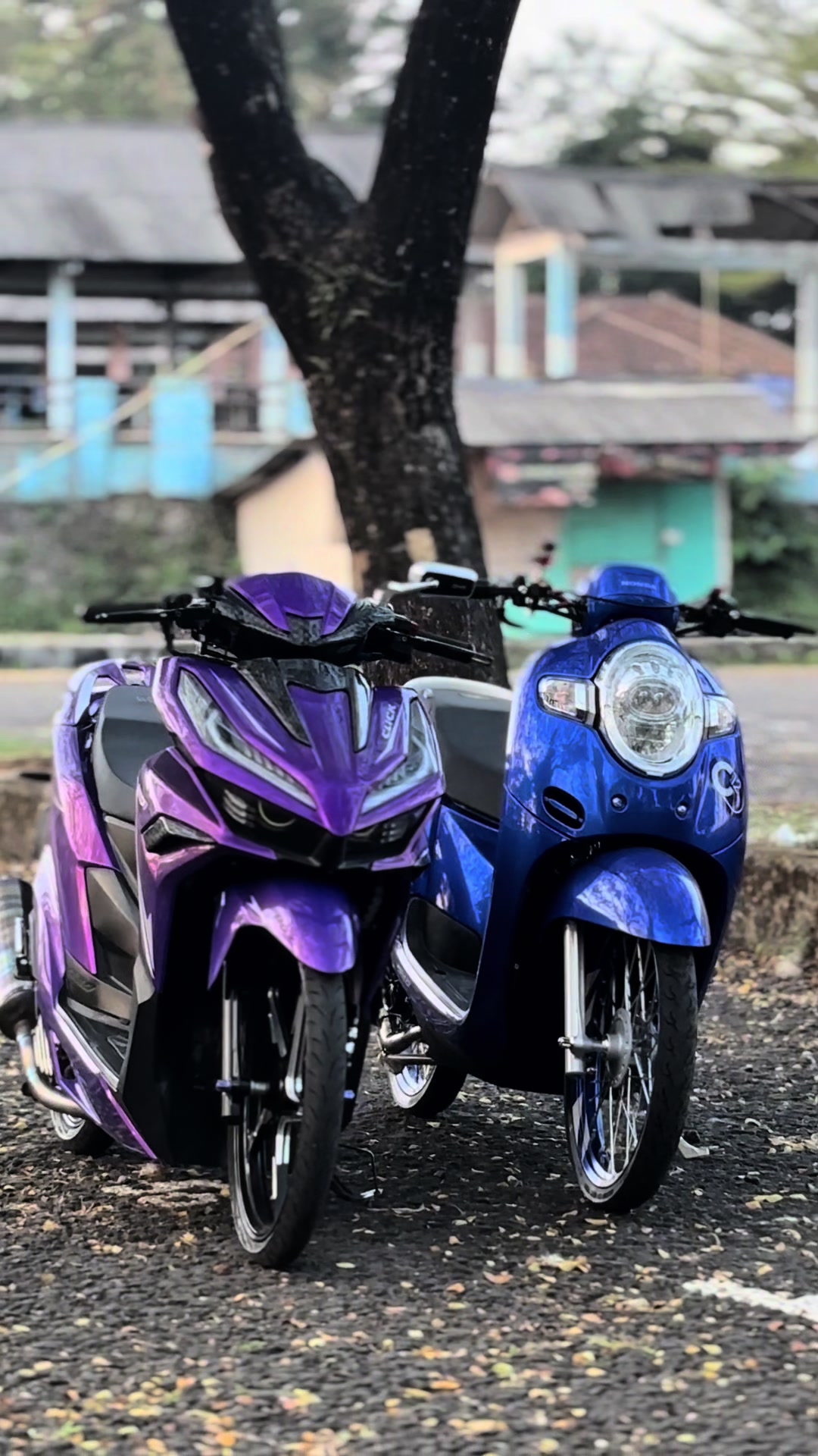 @NovallPratidinaOfficial_