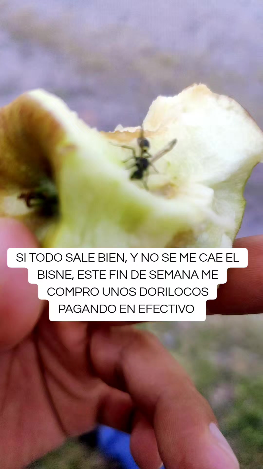 @wichouMINCRE