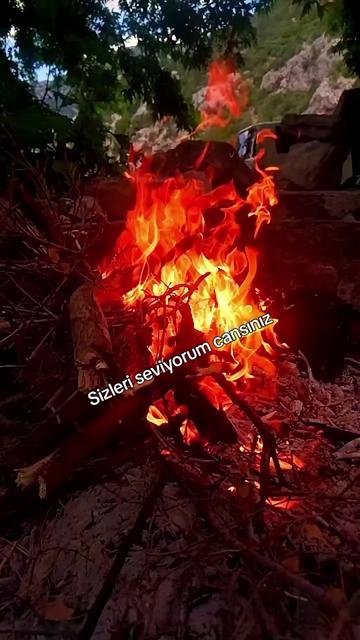 @BİR SER&Ccedil;ENİN G&Ouml;ZYAŞ🕊️🕊️🕊️
