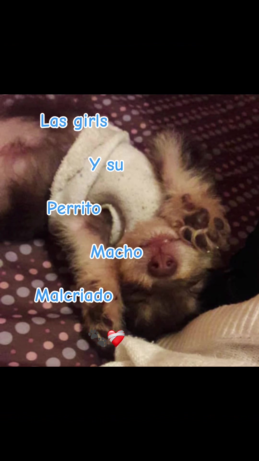 @๐Mavi Estefania ๐