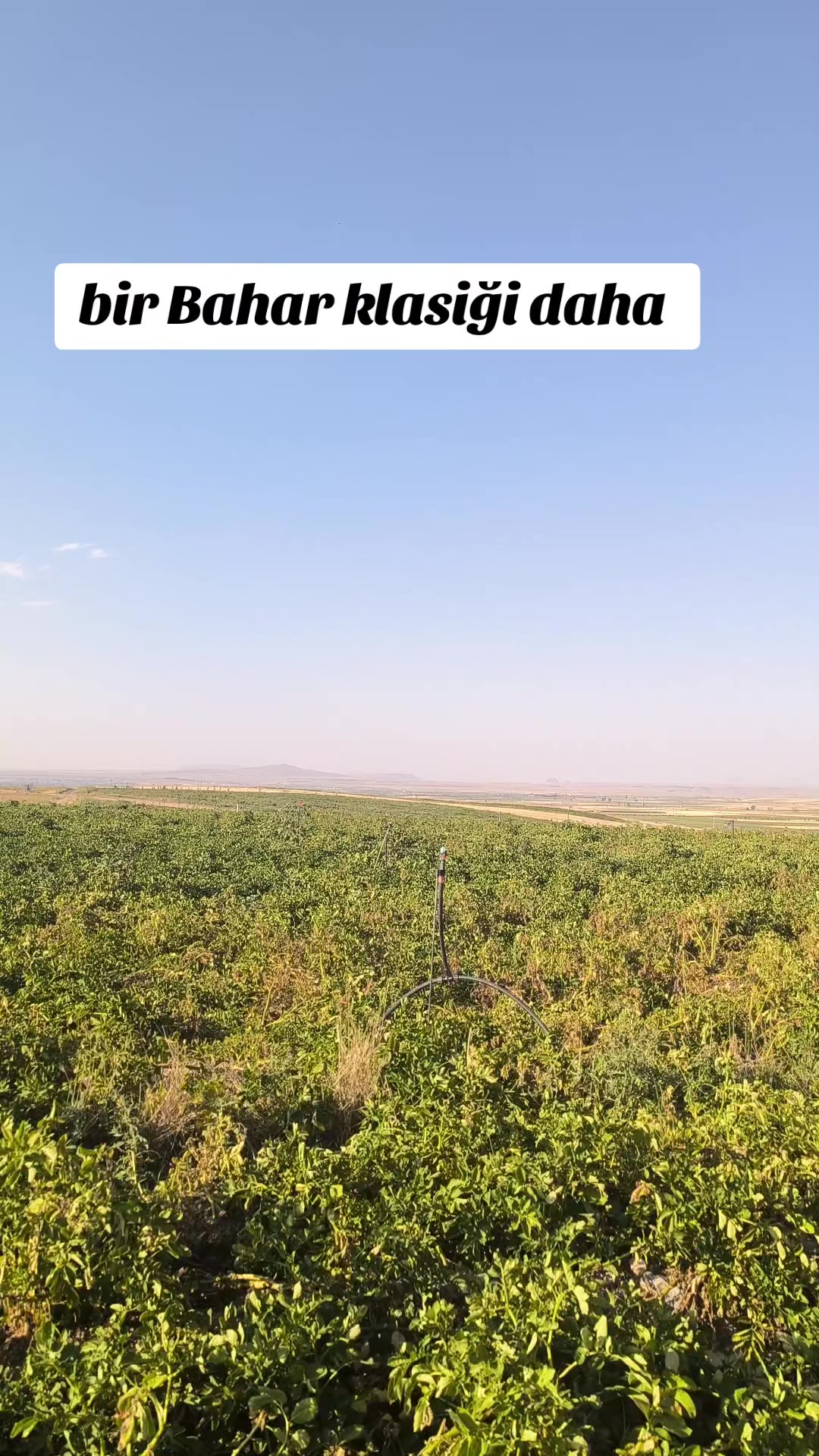 @Muzaffer Yılmaz