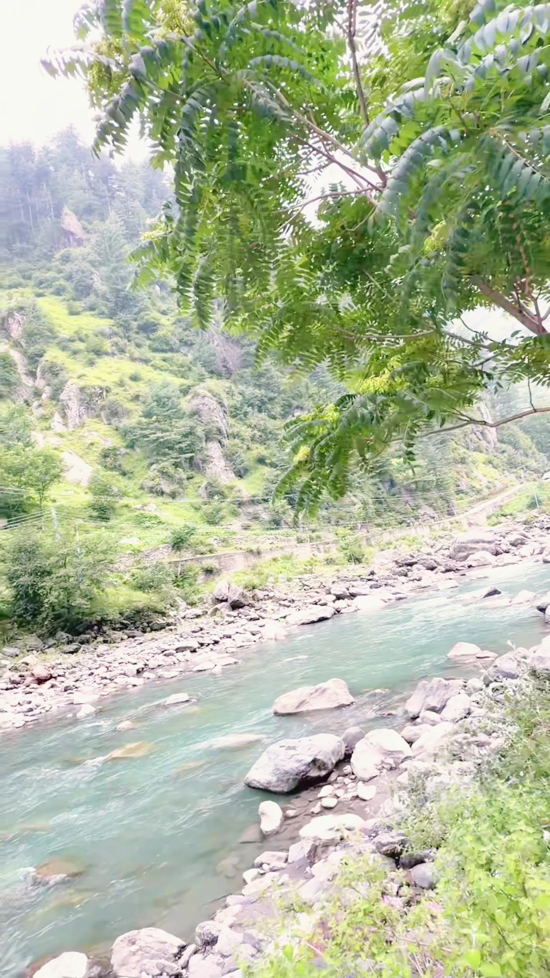 @sardar akhtar khaskheli