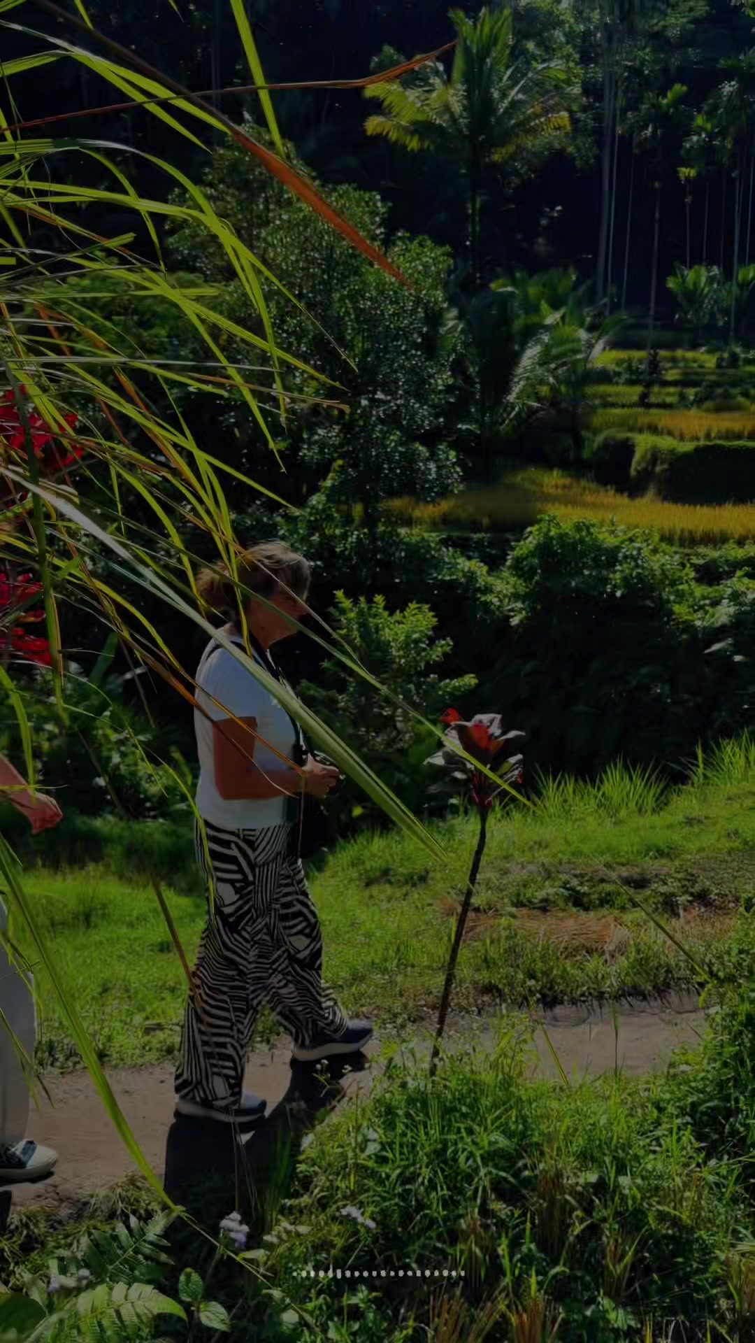 @Ubud Area Tours