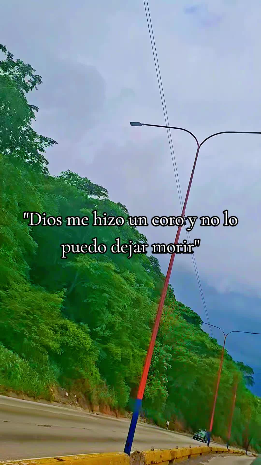 @Yennifer Morillo🦿♿