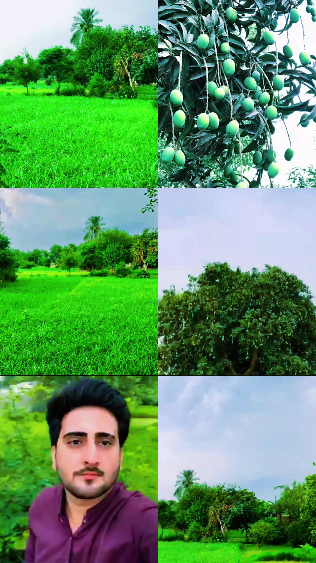 @علی شیر ڈھانڈلہ