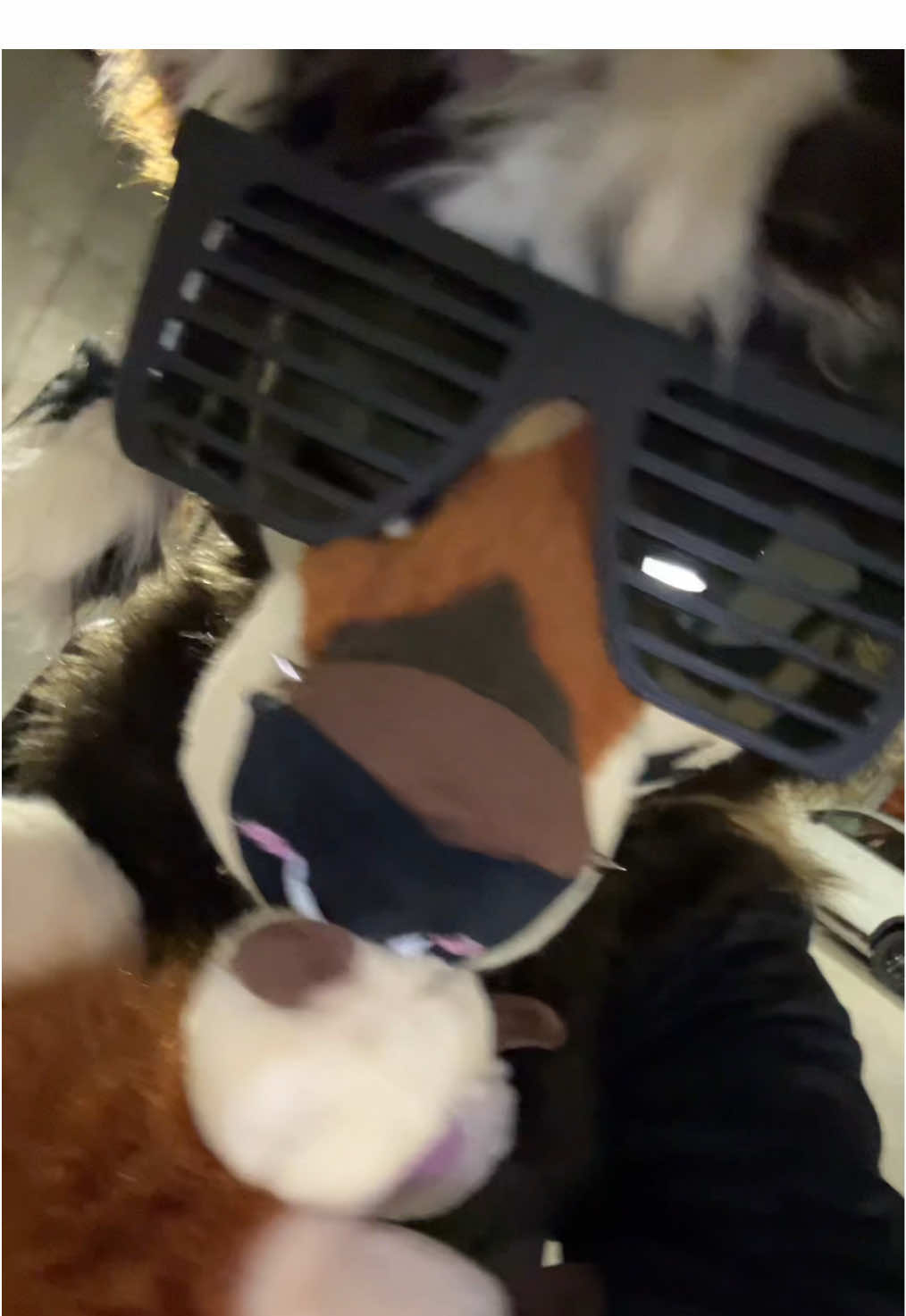 @furtanyl🐺