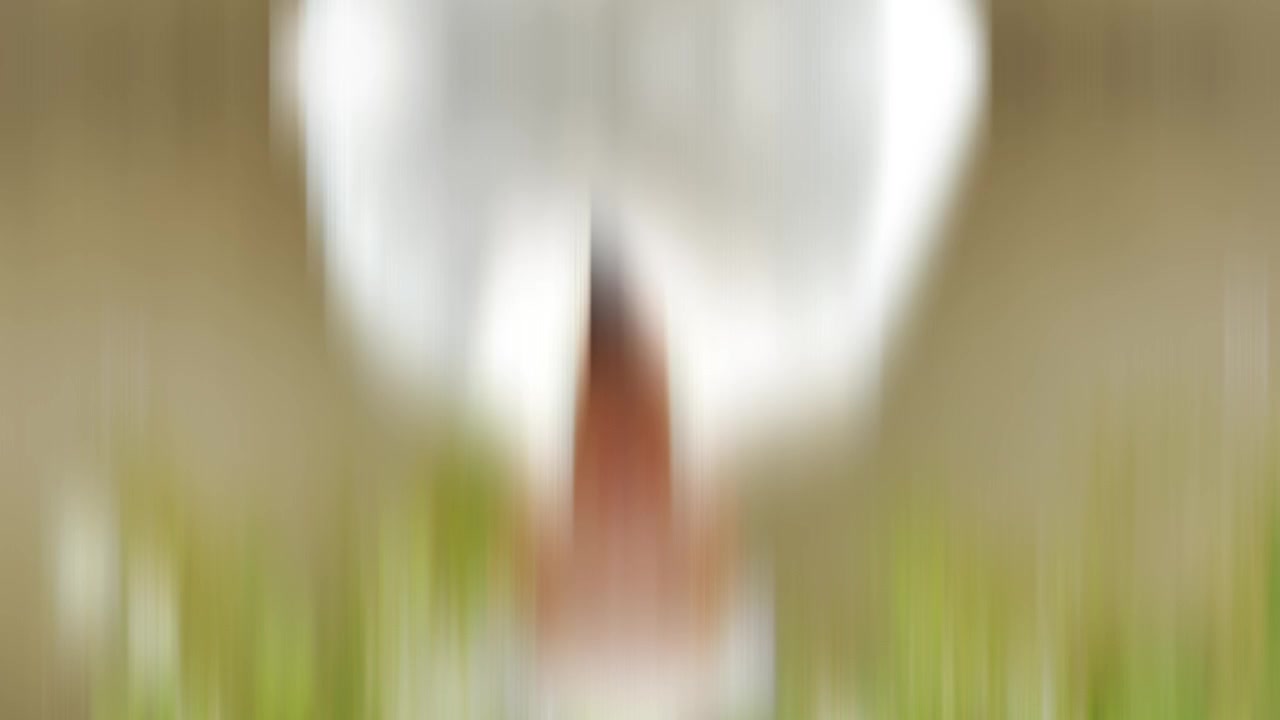 @️Khabab11