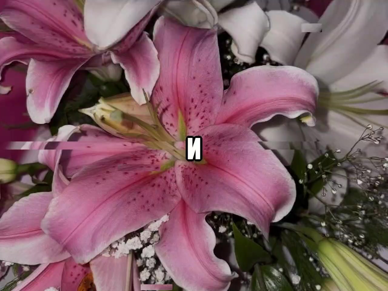 @звуки для липсингов