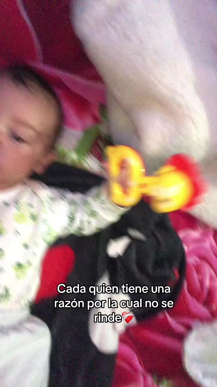 @Aurora Gimenez