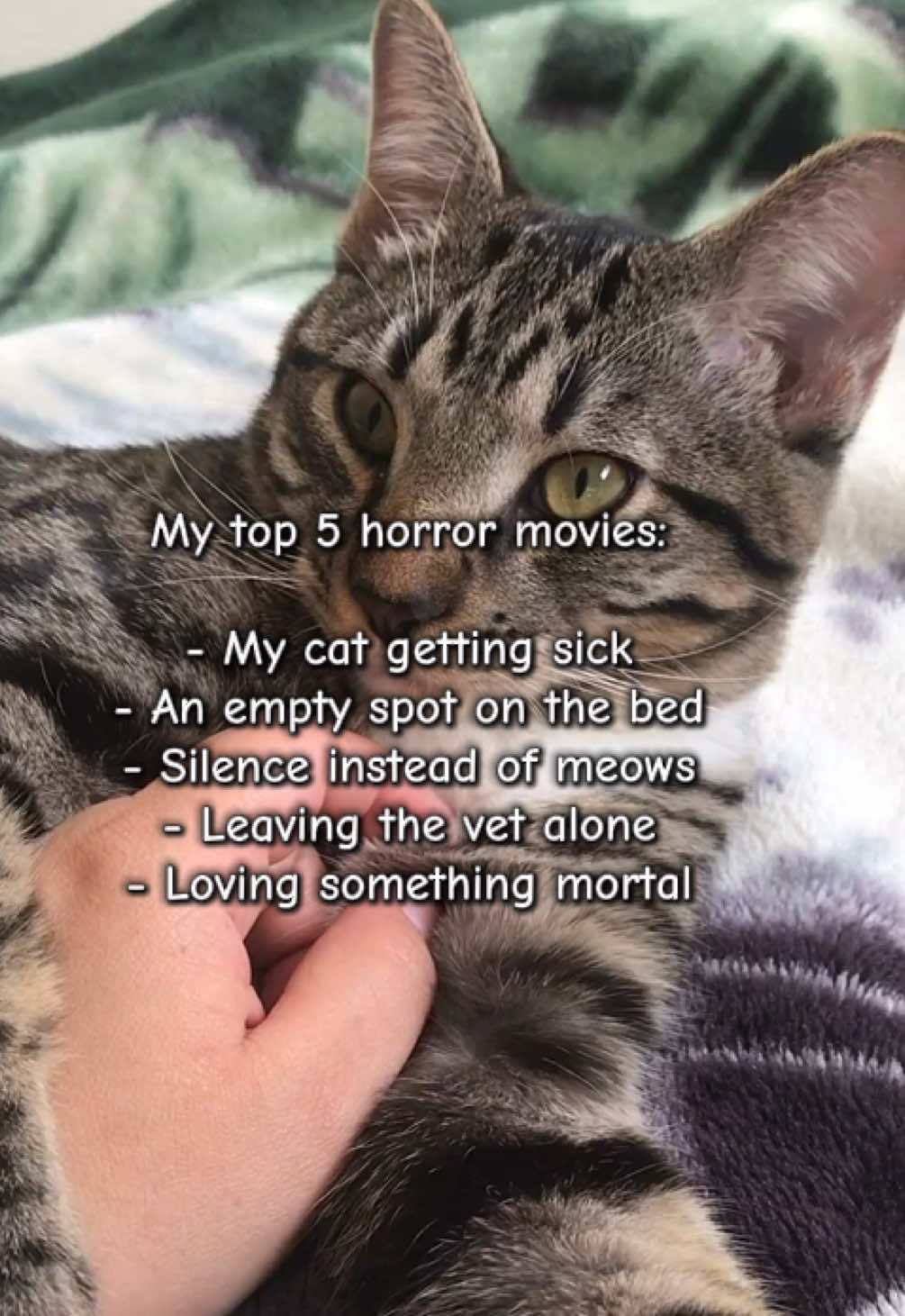 @Meowster_World