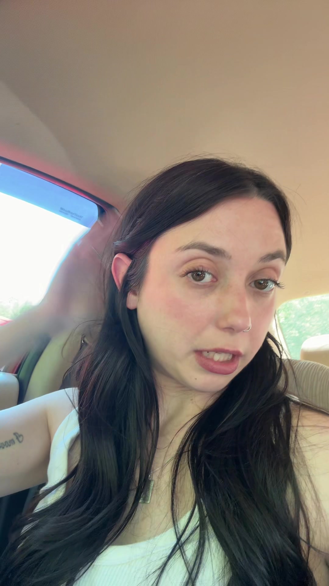 @briconatorfries