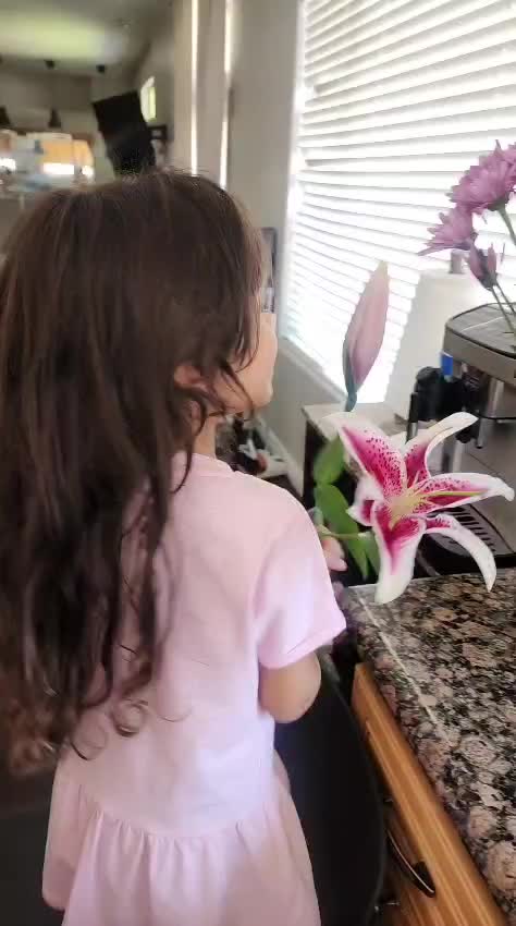 @Chef Manal Alalem منال العالم