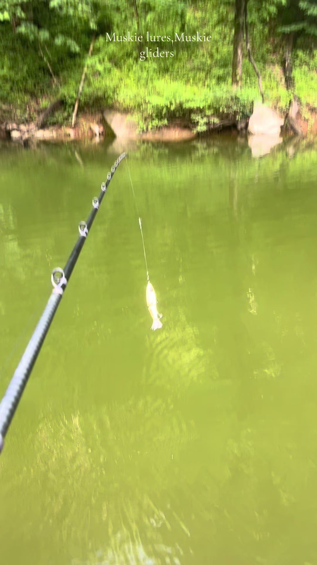@JW Lures
