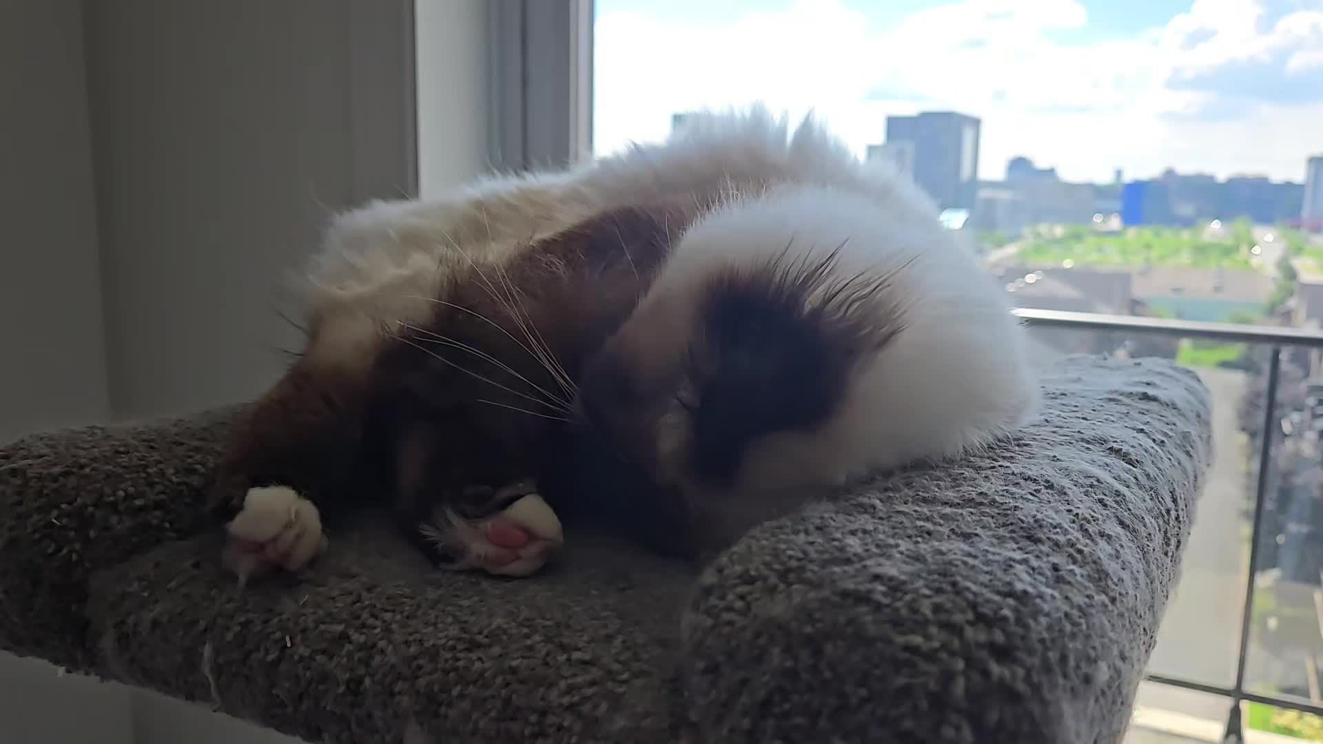 @L&eacute;o & Suki &hearts;️