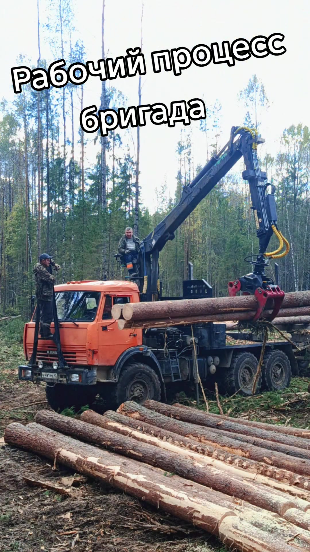 @Александр