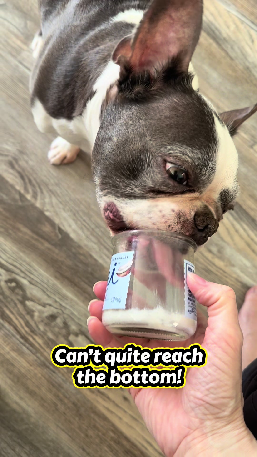 @Hugo_the_Frenchton