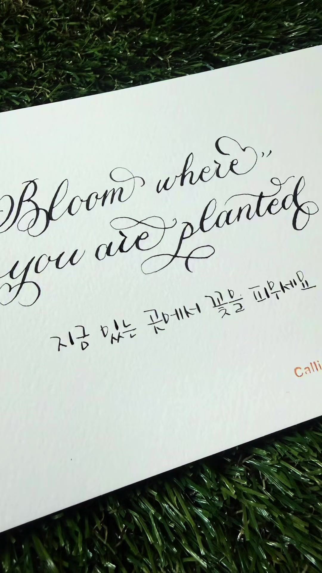 @YUNNY_CALLI(김수연)