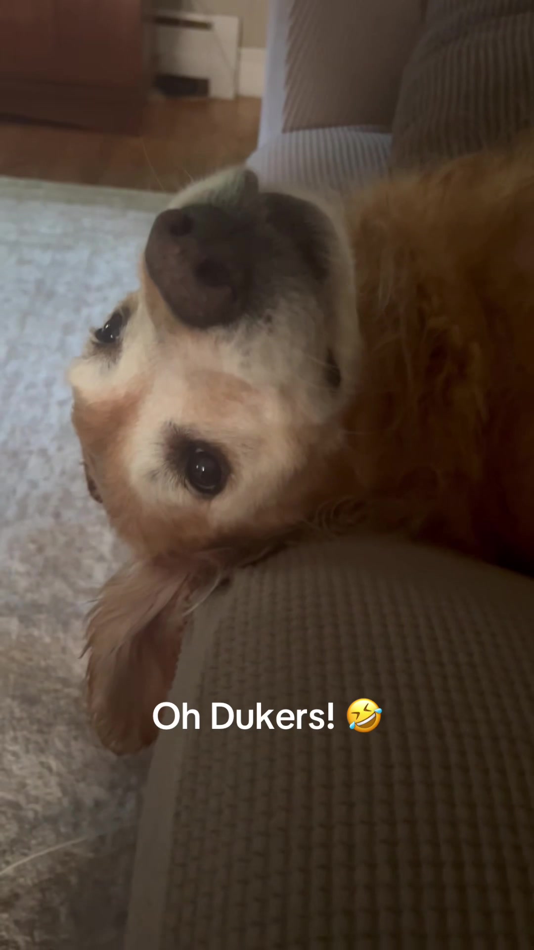 @lifewithduke2025