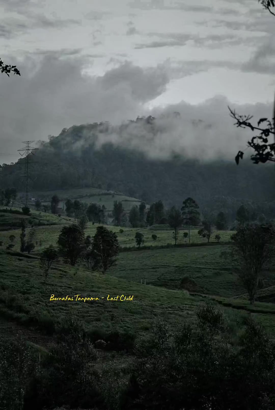@inimusikku.id x Clip