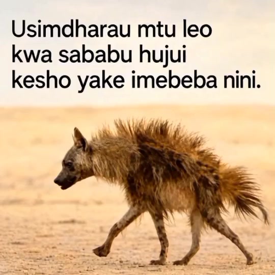 @๐๐๐๐ข๐๐ข๐๐ฅ ๐๐๐ง๐๐ฃ๐