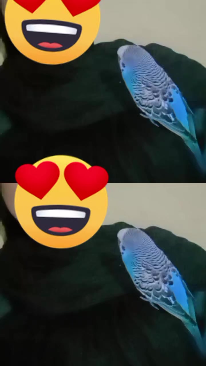@الراندة بشرى أم البنات