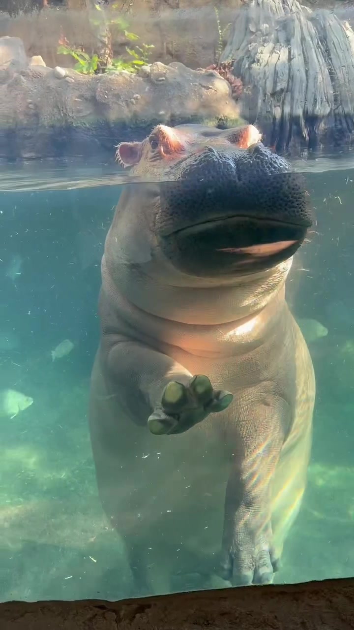 @Cincinnati Zoo