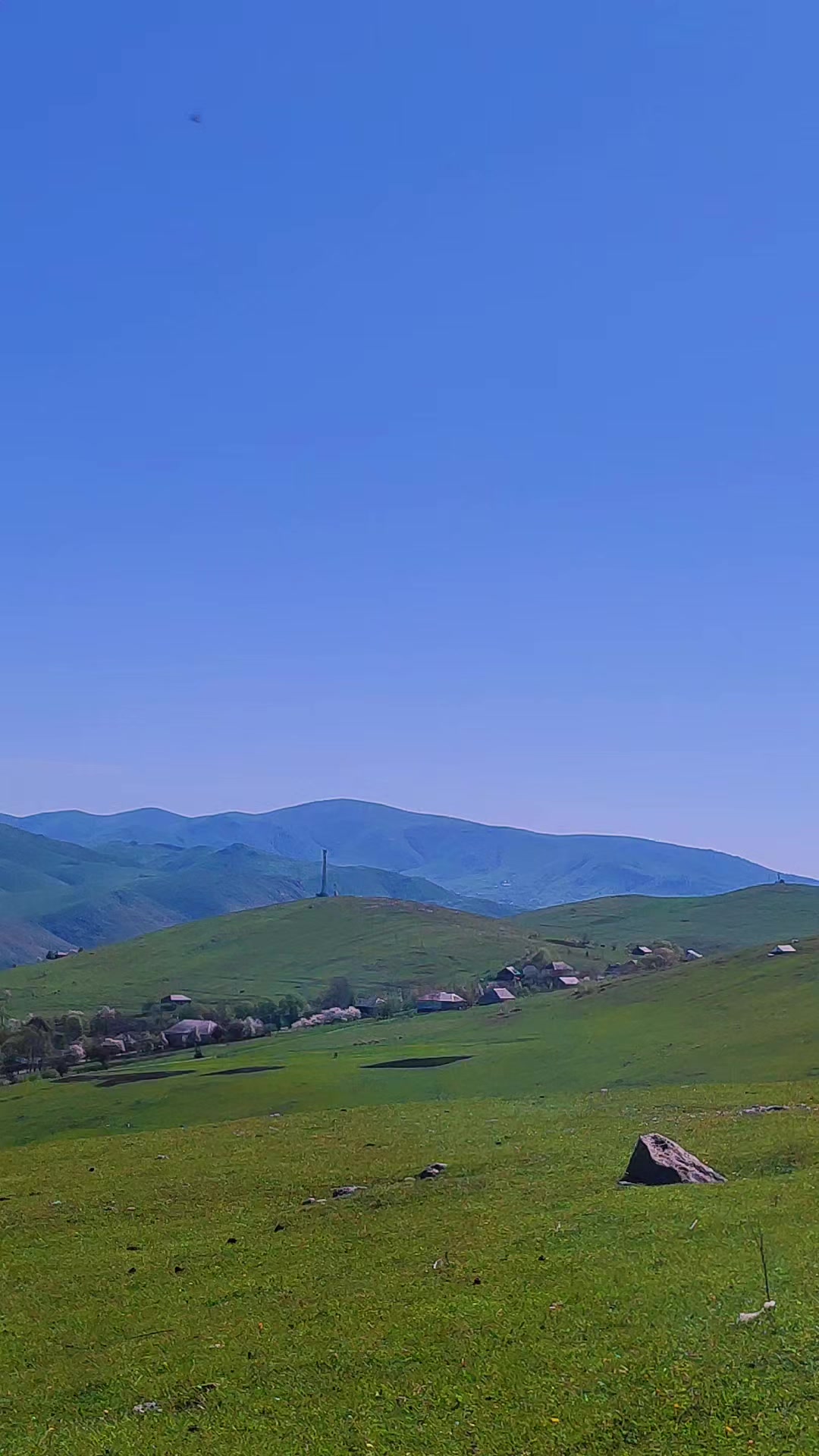 @Anar_Əliyev