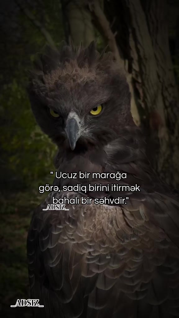 @_ADSIZ_
