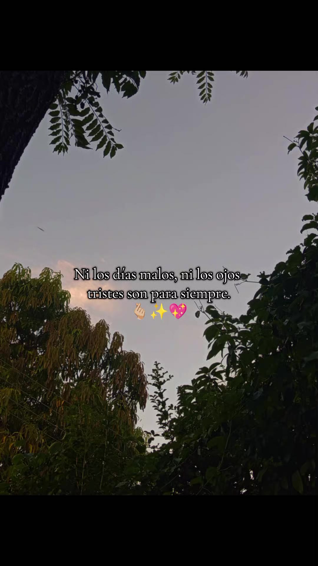 @𝕷𝖚𝖕𝖎𝖙𝖆 𝖒𝖆𝖐𝖊𝖚𝖕 🌺