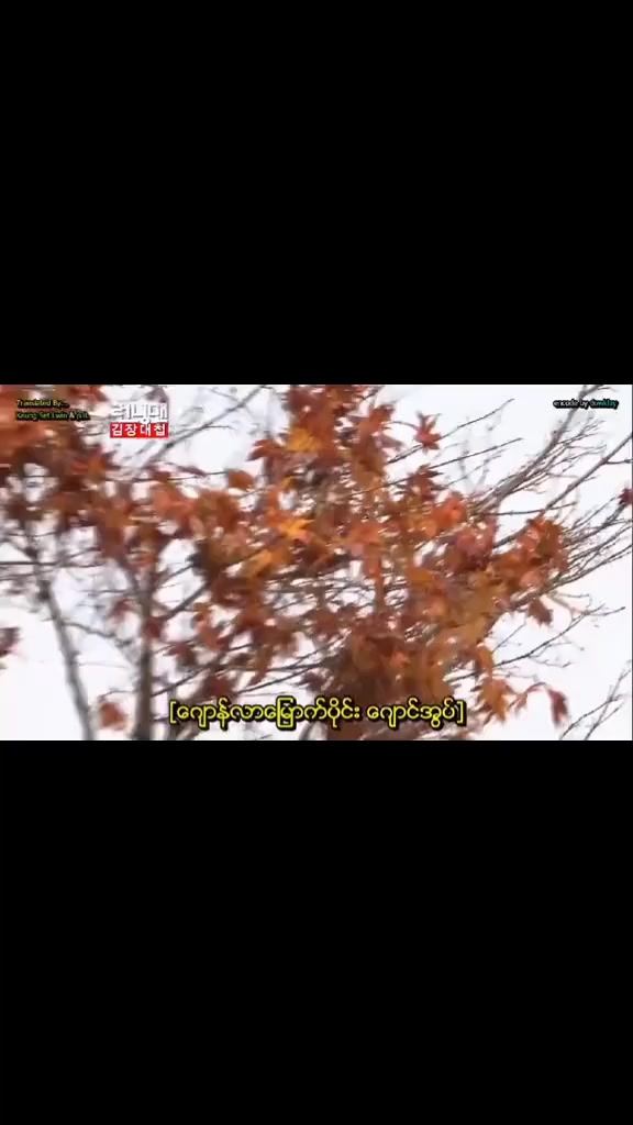 @Running man(1M)