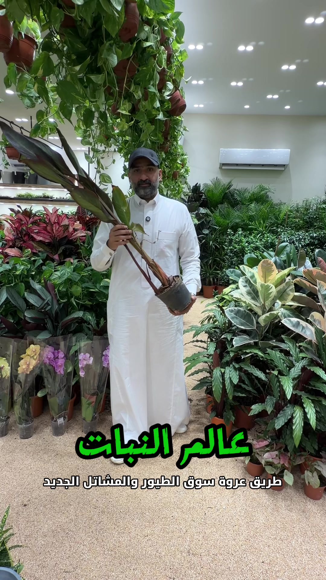 @شيف الياس رحيم