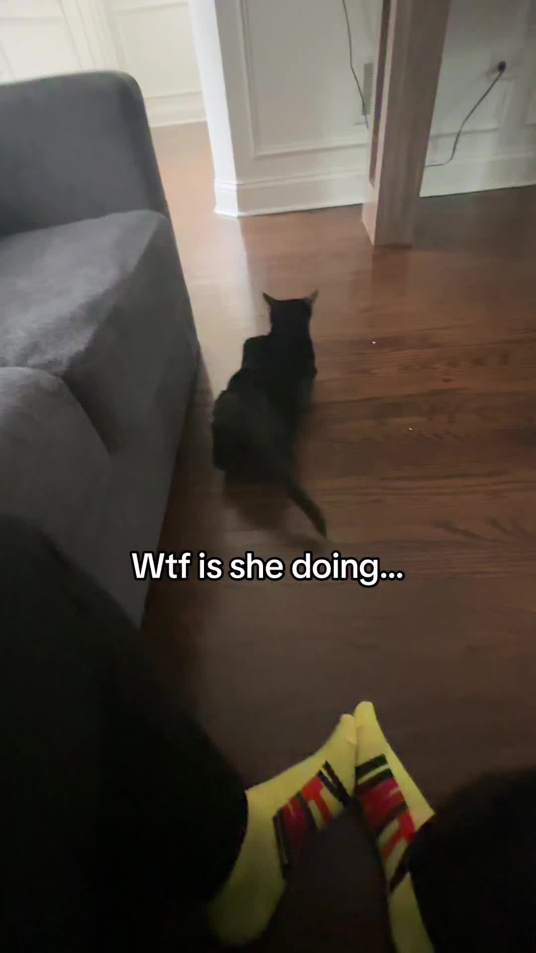@⊹₊˚‧︵‿₊୨ᰔ୧₊‿︵‧˚₊⊹