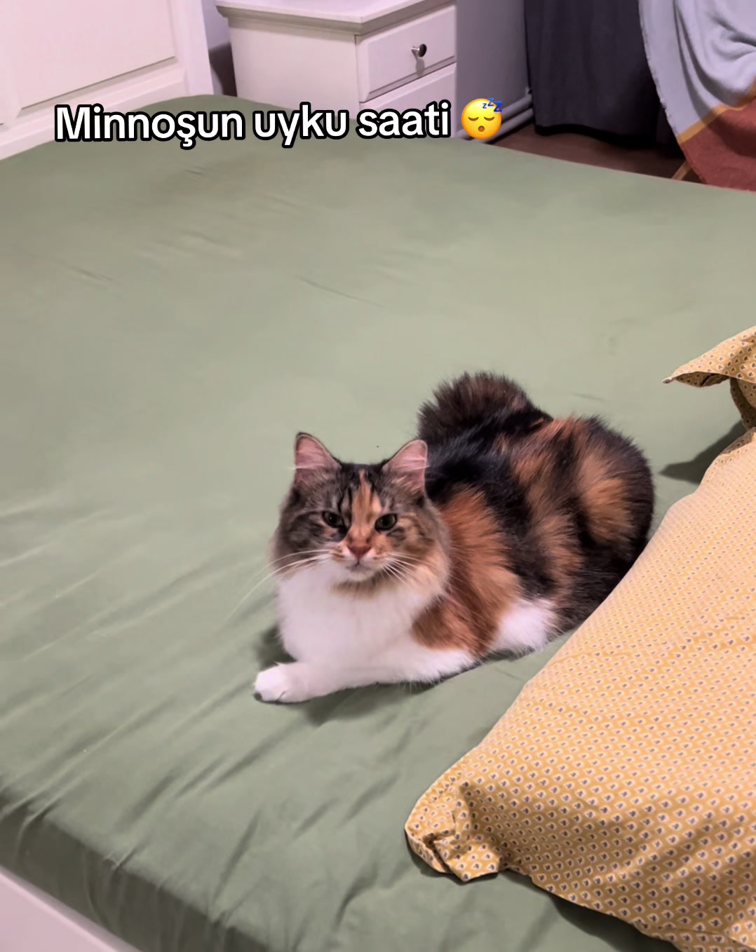 @konusankediminnos