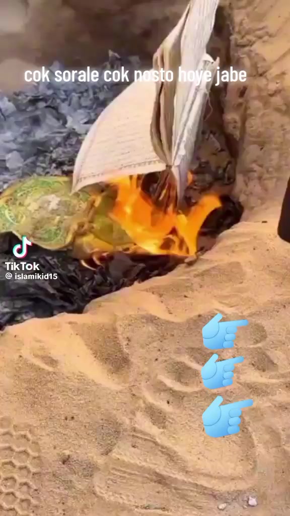 @Jia786