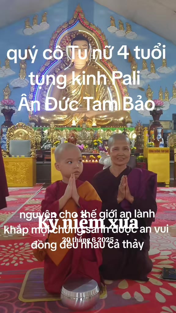 @TK Bảo &Acirc;n
