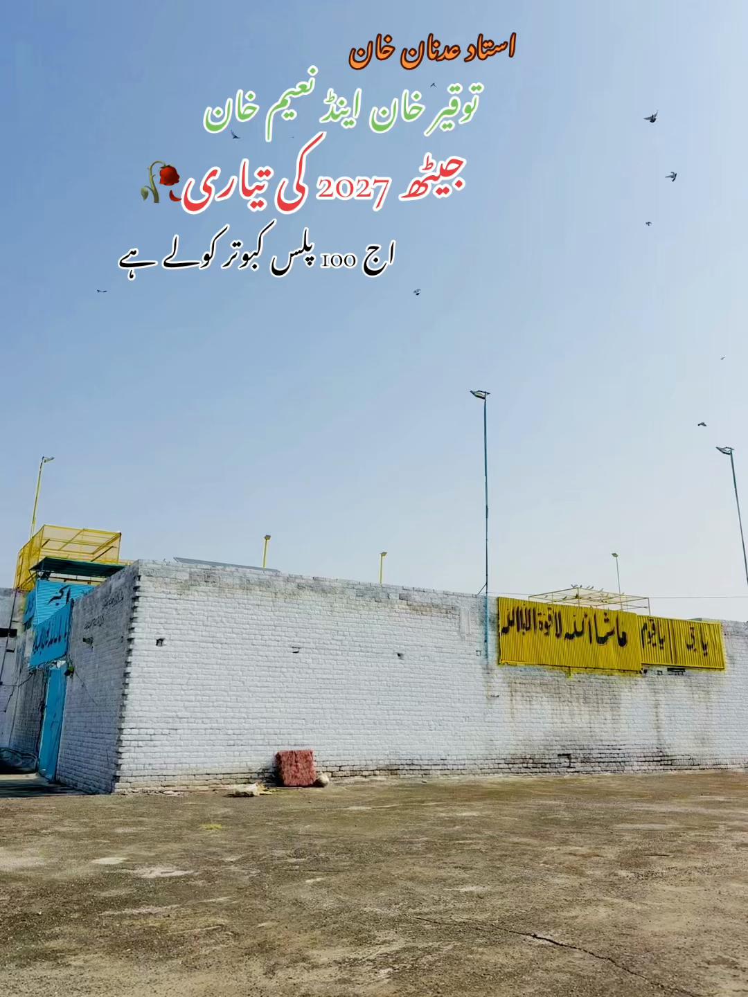 @ToqeerKhan300