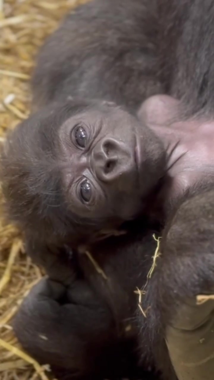 @Cincinnati Zoo
