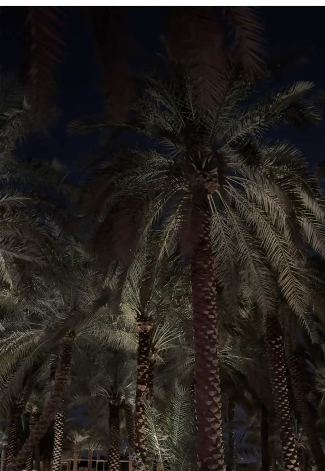 @HF