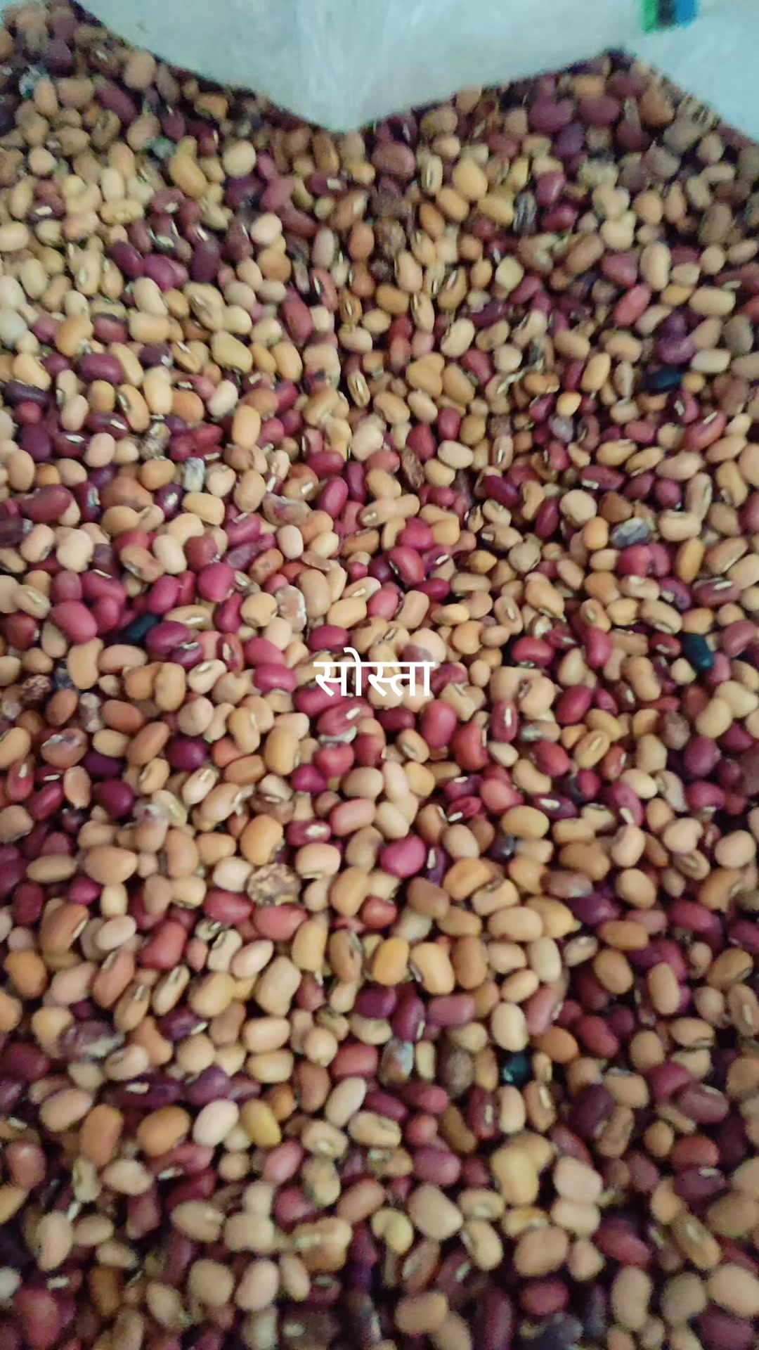 @Sangita (Hamropasal)