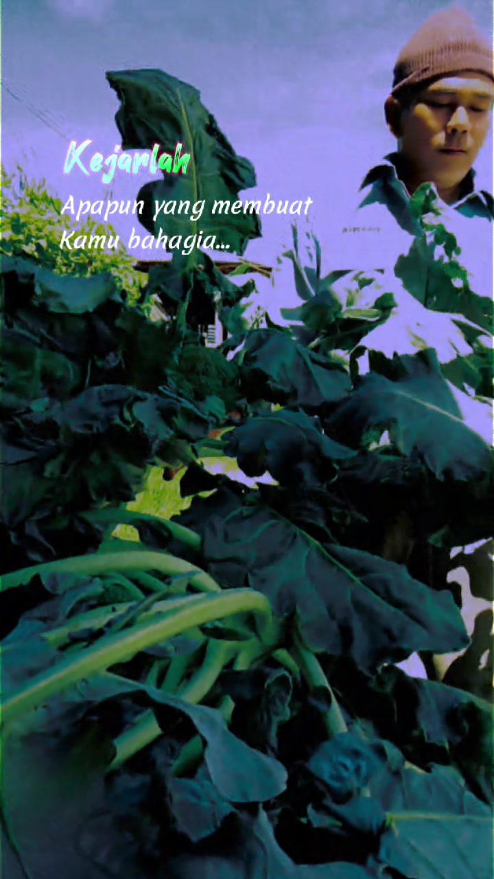 @Mila Ginting
