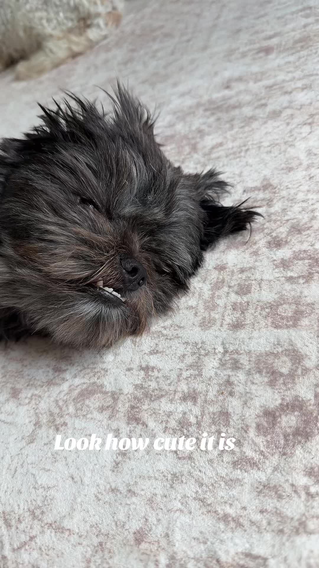 @mjvanicek