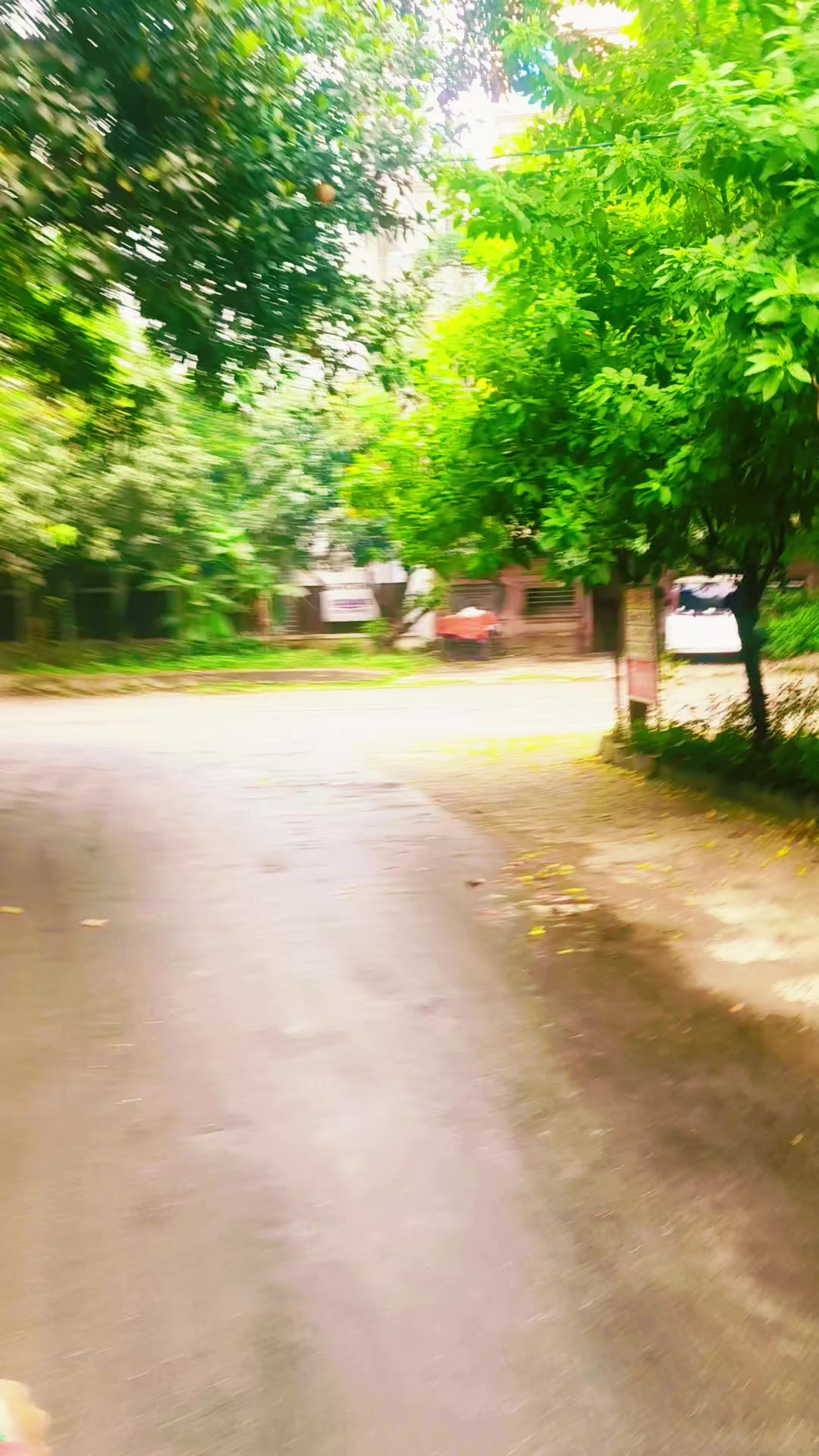 @Md Ohid Rana