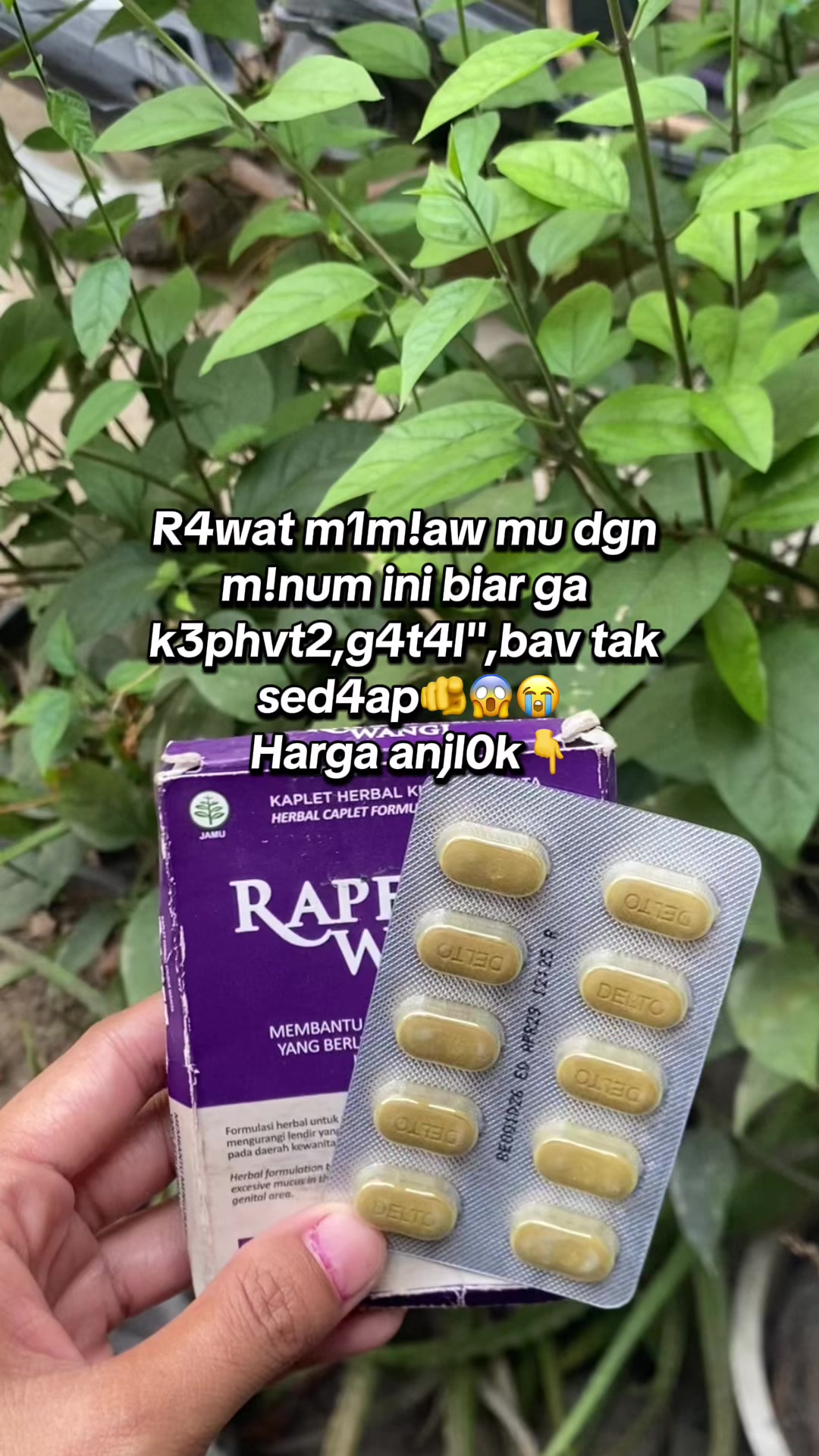 @fifi