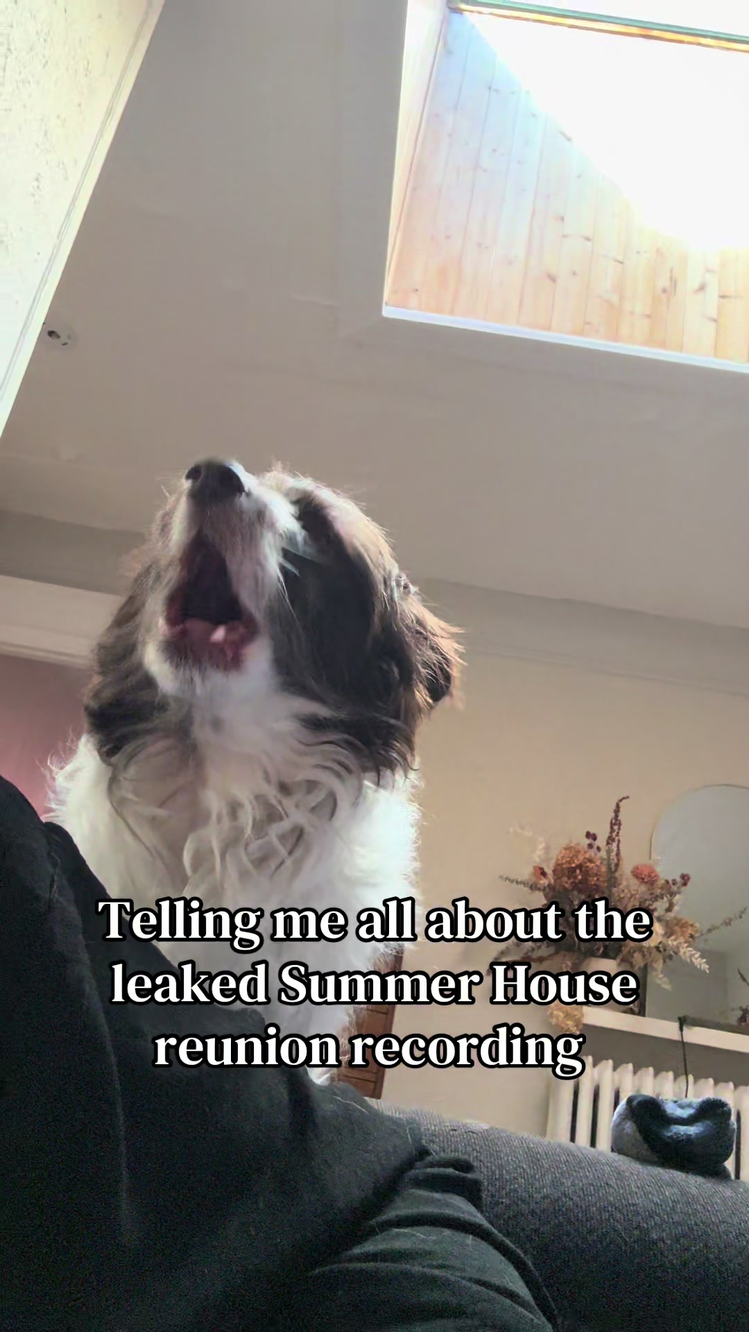 @jessthemess